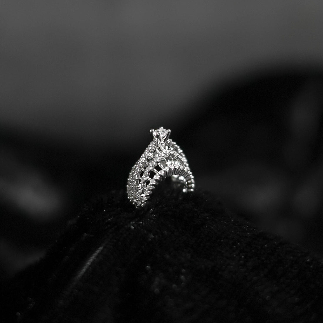 Regal Crown second image
