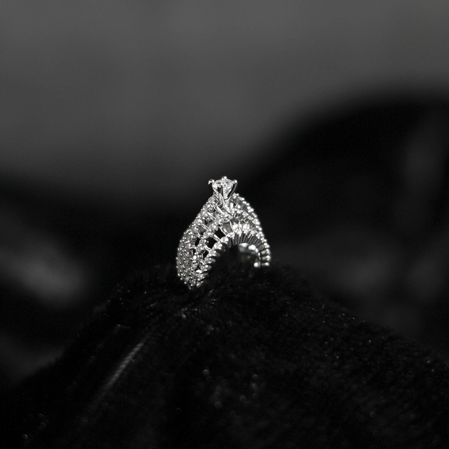 Regal Crown